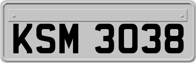 KSM3038