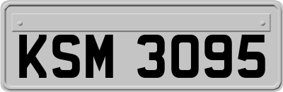 KSM3095