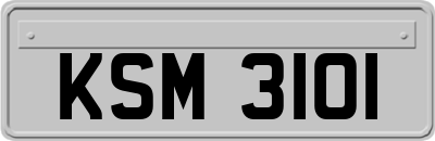 KSM3101