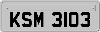 KSM3103