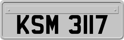 KSM3117