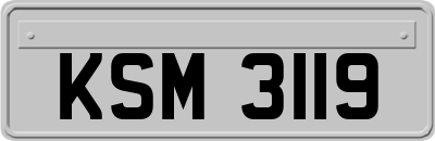 KSM3119