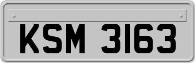 KSM3163