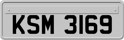 KSM3169