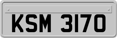 KSM3170