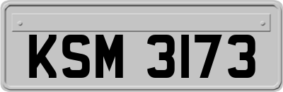 KSM3173