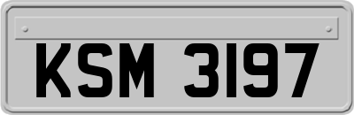 KSM3197