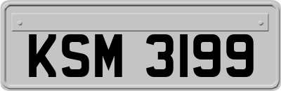 KSM3199