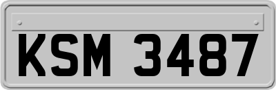 KSM3487
