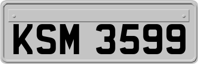 KSM3599