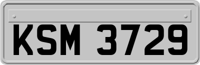 KSM3729