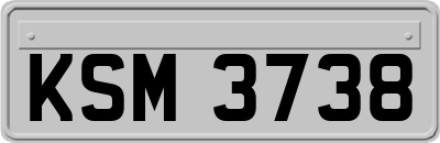 KSM3738