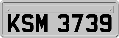 KSM3739