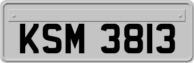 KSM3813