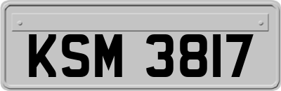 KSM3817