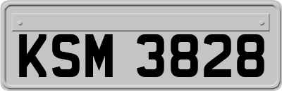 KSM3828