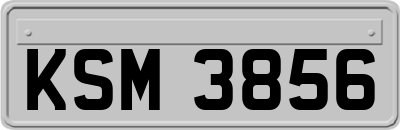 KSM3856