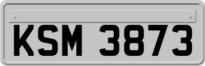 KSM3873