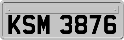 KSM3876