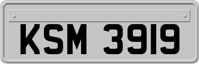 KSM3919