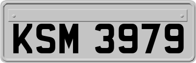 KSM3979