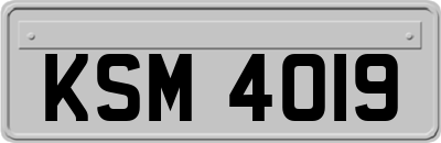 KSM4019