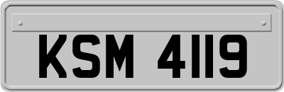 KSM4119