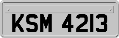 KSM4213