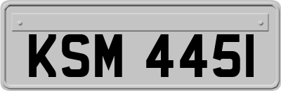 KSM4451