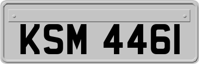 KSM4461