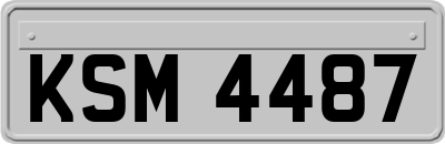 KSM4487