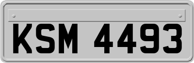 KSM4493