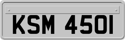 KSM4501