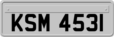 KSM4531