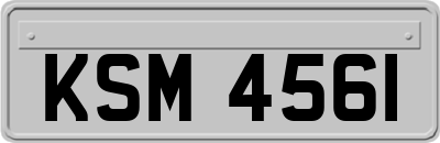 KSM4561