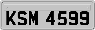 KSM4599