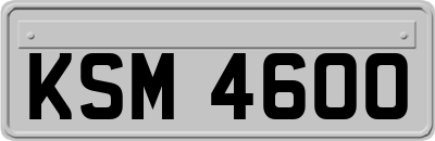 KSM4600