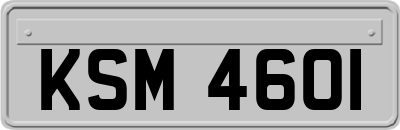 KSM4601
