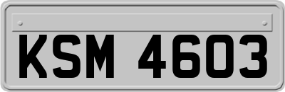 KSM4603