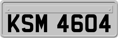 KSM4604