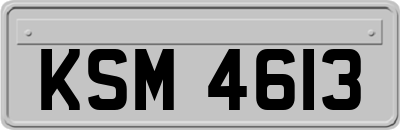 KSM4613