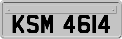 KSM4614