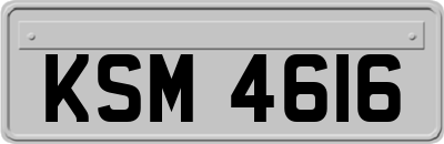 KSM4616