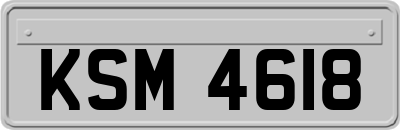 KSM4618