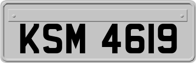 KSM4619