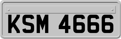 KSM4666