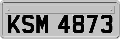 KSM4873