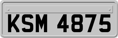 KSM4875