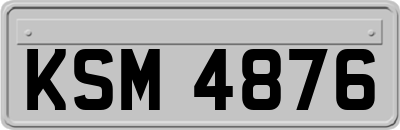 KSM4876