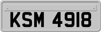 KSM4918